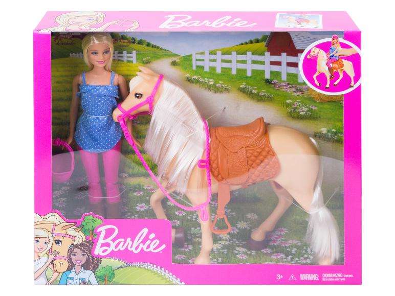 Sada panenky Barbie a koně v krabici