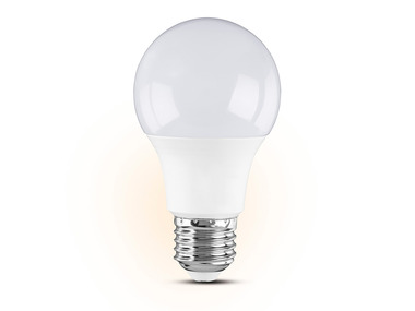 LIVARNO home LED žárovka, 6 kusů