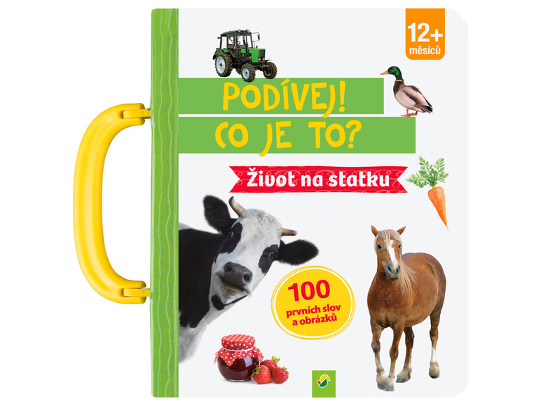 Dětská kniha