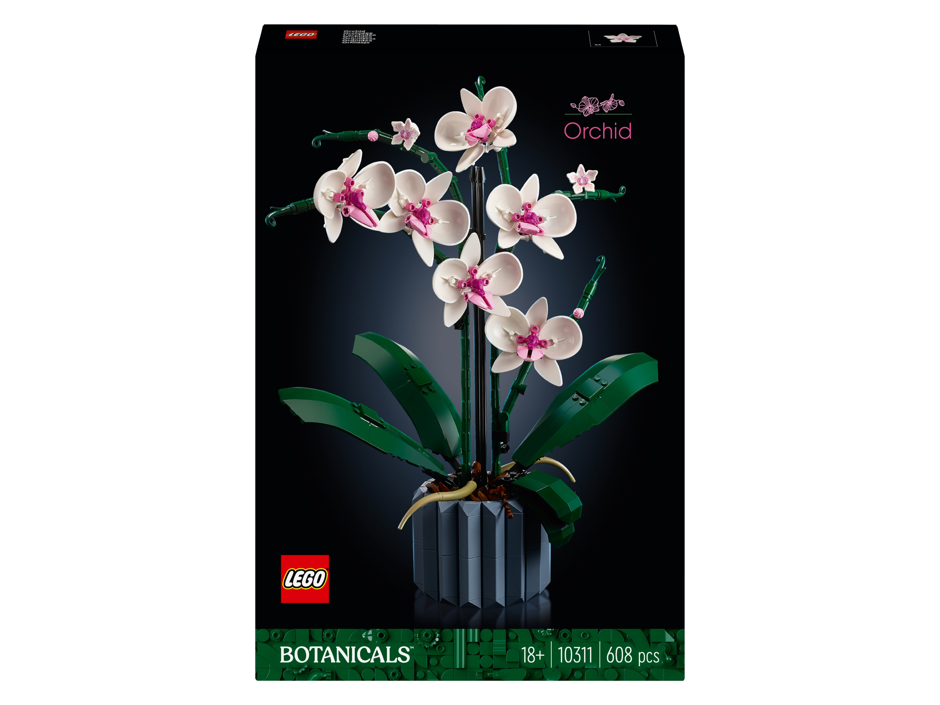 LEGO Icons 10311 Orchidej