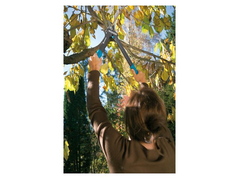 Žena prořezává strom zahradními nůžkami Gardena.
