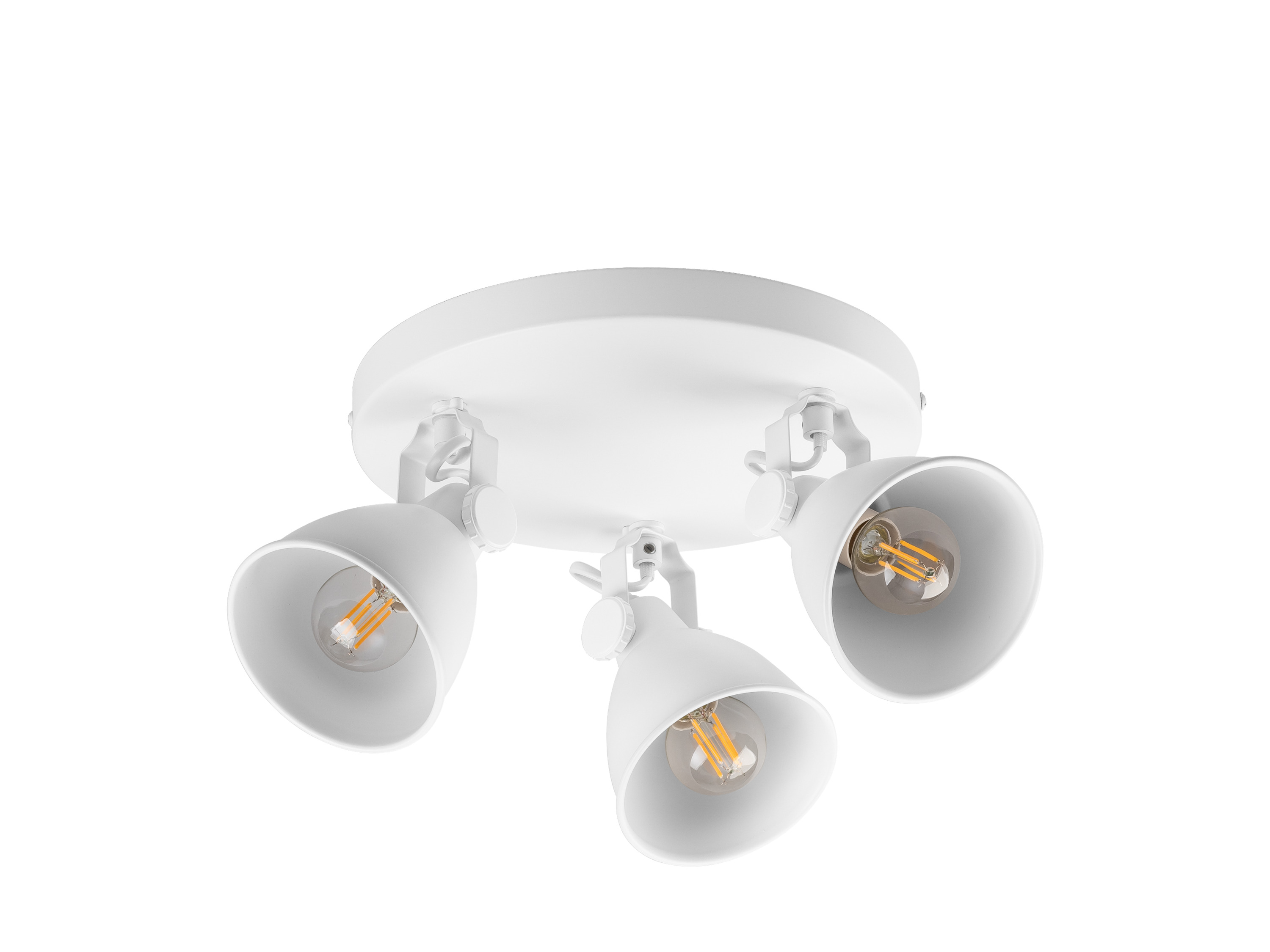 Livarno home Stropní LED svítidlo Teiwaz (stropní svítidlo bodové, bílá)