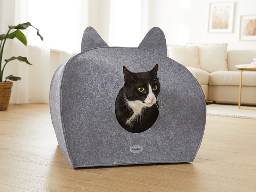 Péče o hravé mazlíčky