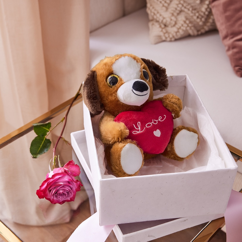Plyšový pes s červeným srdcem s nápisem „Love“ v bílé dárkové krabičce, vedle růžová růže.