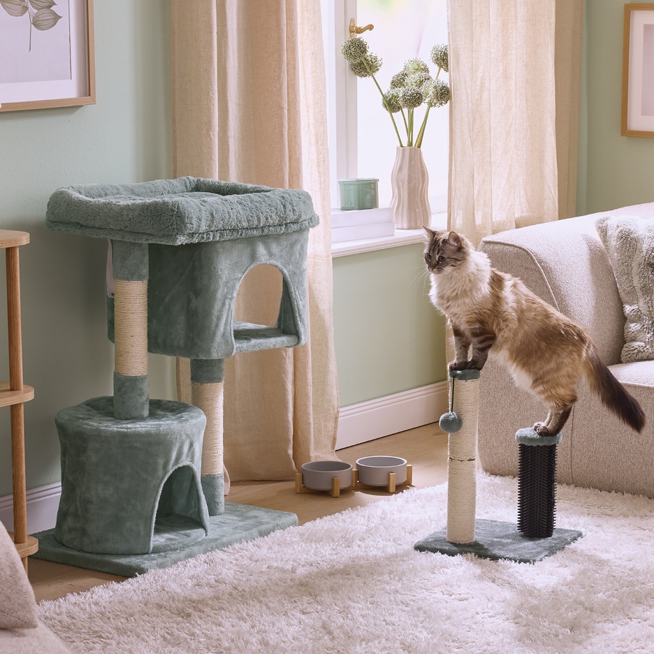Kočičí strom a škrabadlo v obývacím pokoji s kočkou.