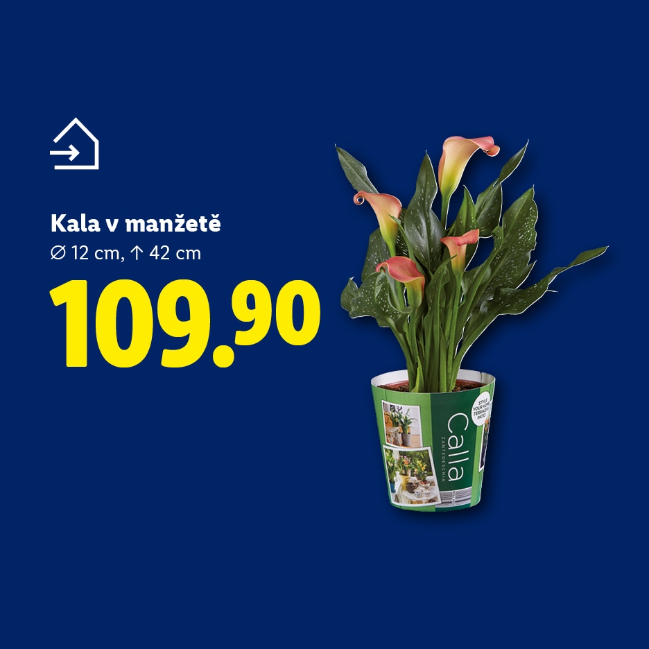 Kala v manžetě, průměr 12 cm, výška 42 cm, cena 109.90.
