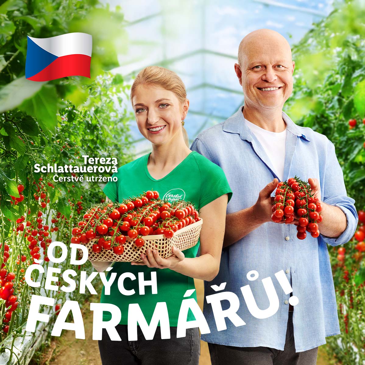 Česká farmářská dvojice prezentuje čerstvě sklizené rajčata.
