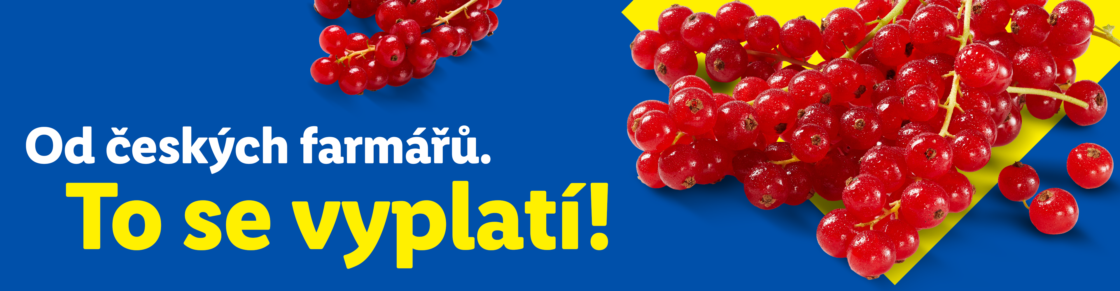 Červený rybíz na modrém pozadí s textem „Od českých farmářů. To se vyplatí!“