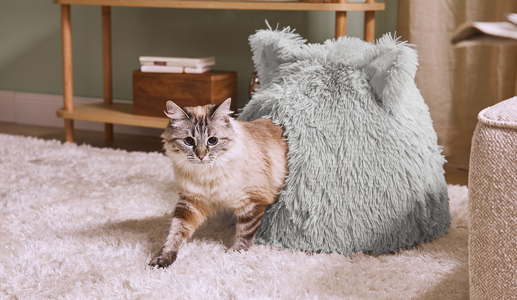 Kočka vylézá z šedého chlupatého pelíšku na bílém koberci.