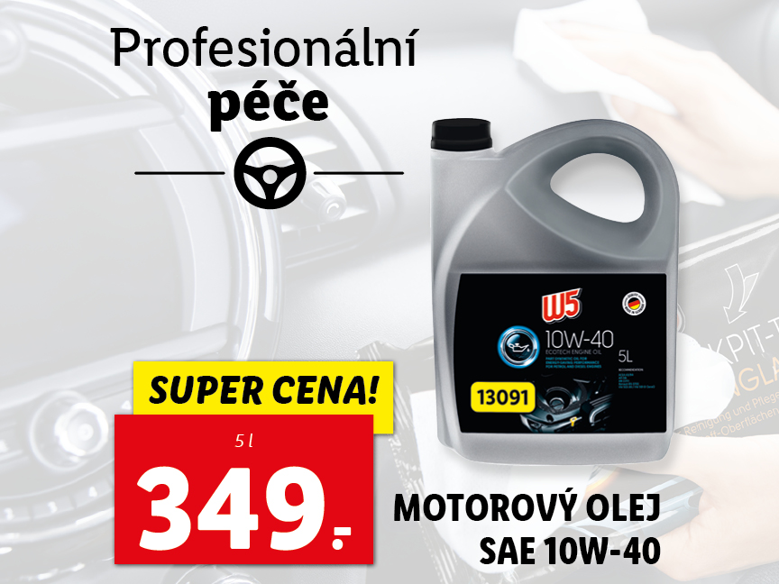 Profesionální péče