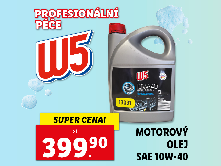 Profesionální péče