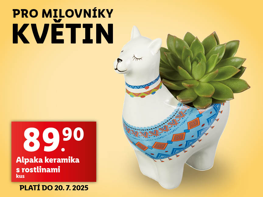 Keramická lama s rostlinou, 89.90 Kč. Platí do 20.7.2025.