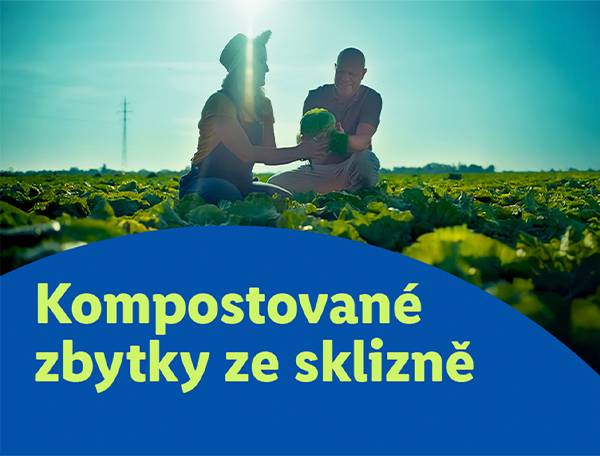 Zemědělci sklízejí salát a kompostují zbytky.